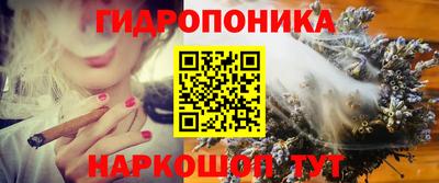 эйфоретик Ливны