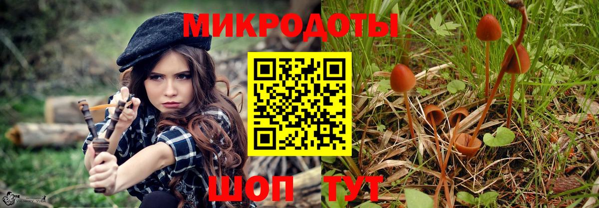 Псилоцибиновые грибы ЛСД  Галлюциногенные грибы GOLDEN TEACHER  Железногорск  сколько стоит  Вход с VPN 